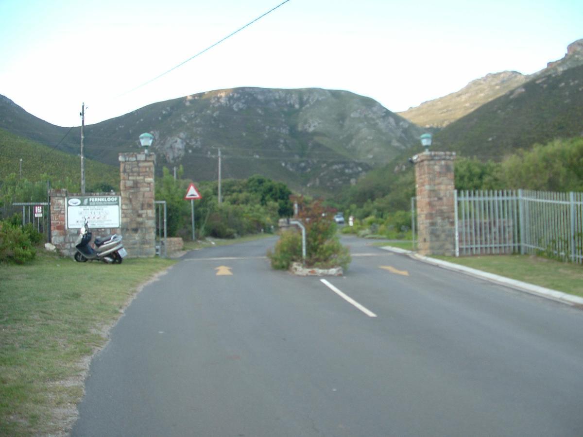 403 Main Road Accommodation Hermanus Dış mekan fotoğraf